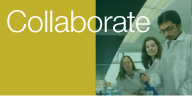 Collaborate