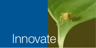 Innovate