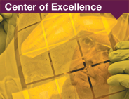 Center of Excellence