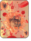 virus