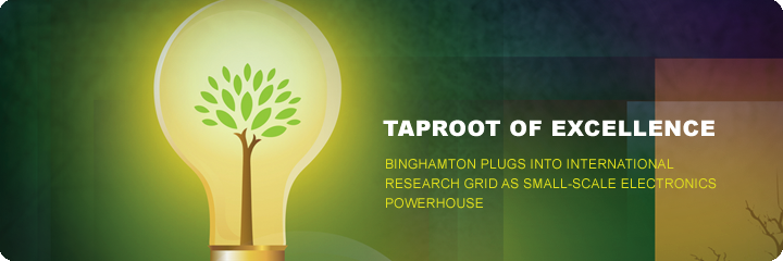 Taproot of excellence